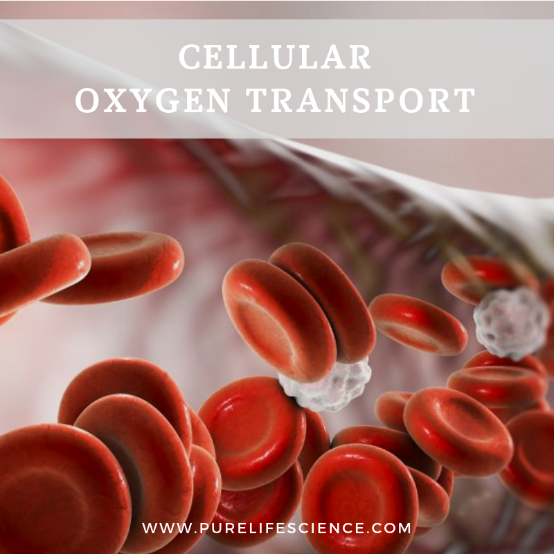 Blog | Pure Life Science – Tagged "Cellular Oxygen"