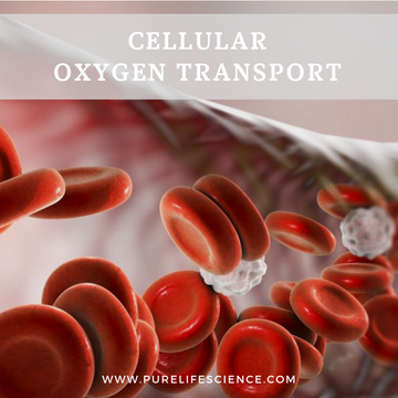 Cellular Oxygen Transport