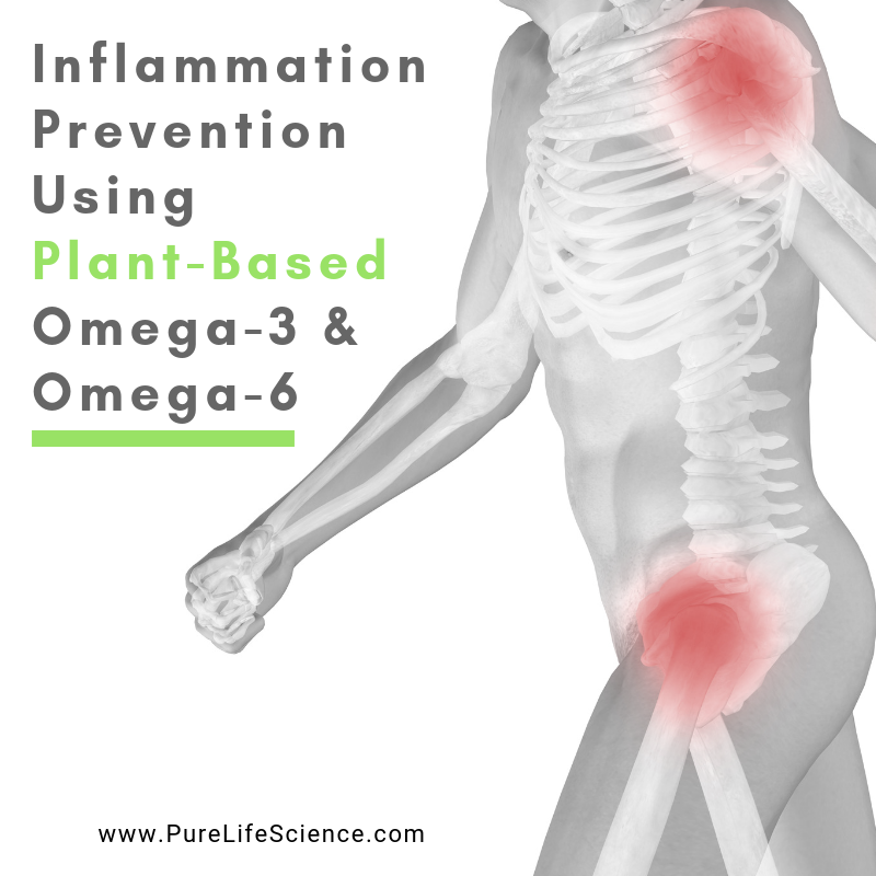 Inflammation Prevention Using PlantBased Omega 3/6 Pure Life Science