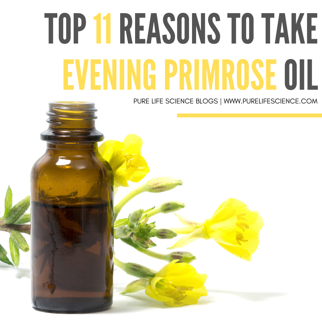 Top 11 Reasons to Take Evening Primrose Oil Blog Pure Life Science