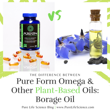 The Difference Between Pure Form Omega and Other Plant-Based Oils: Borage Oil | Pure Life Science