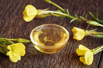 Evening Primrose Oil Explained
