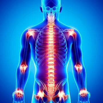 PureForm Omega and Inflammation